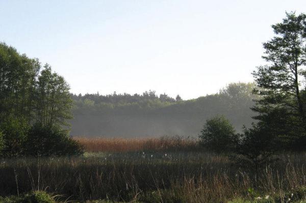 Fewo Ferien Am Schweriner See Flessenow المظهر الخارجي الصورة